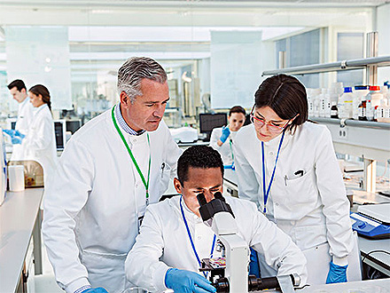 xc sports体育研发实力四